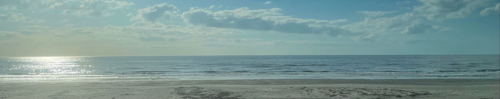 Cover for Christine Lee Moon's Obituary