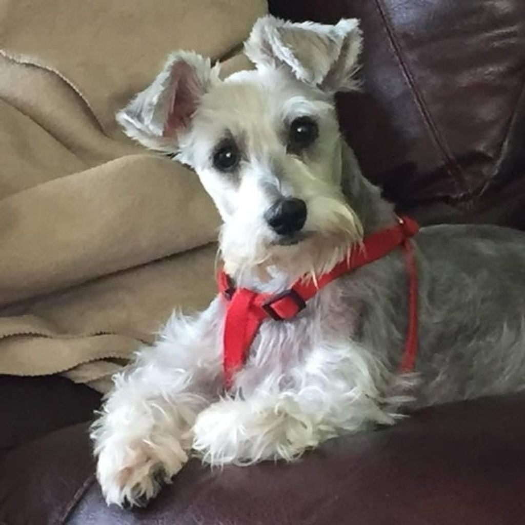 Cooper Paradee Profile Photo