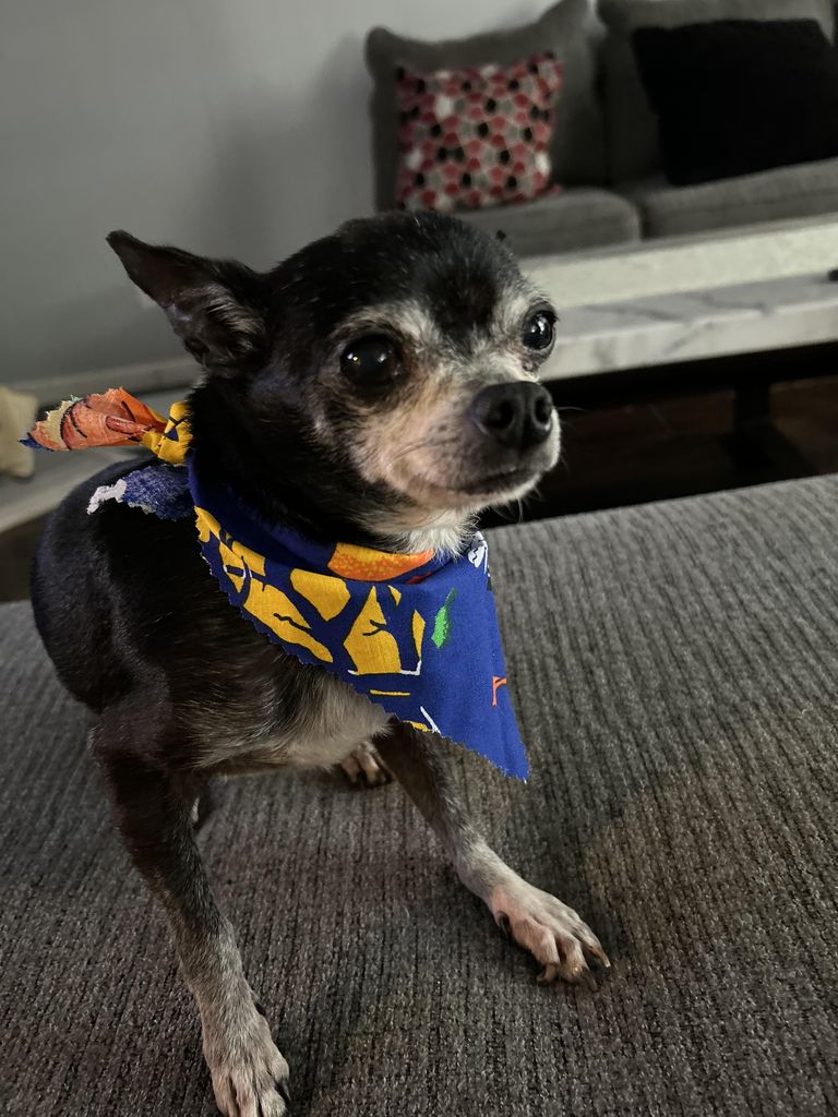 Smokey Berdejo Profile Photo