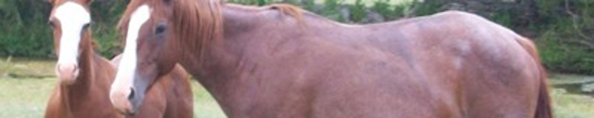 Cover photo for Jerry R. Lehman's Obituary
