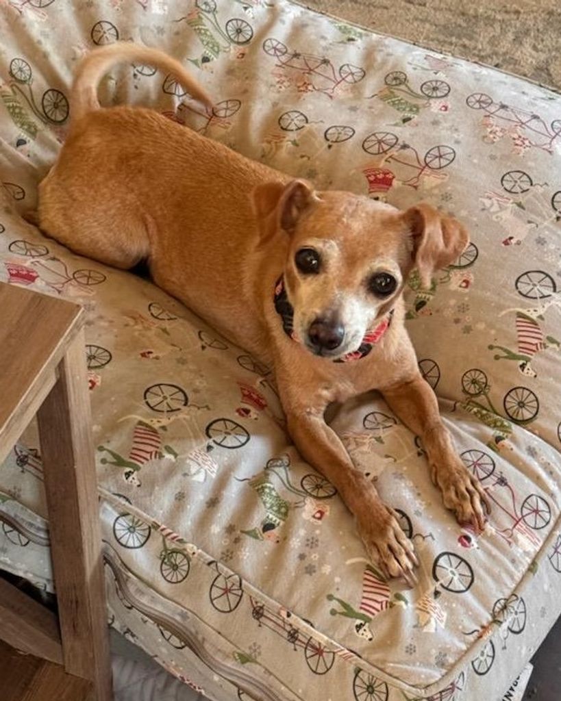 Alexis Velasquez Profile Photo