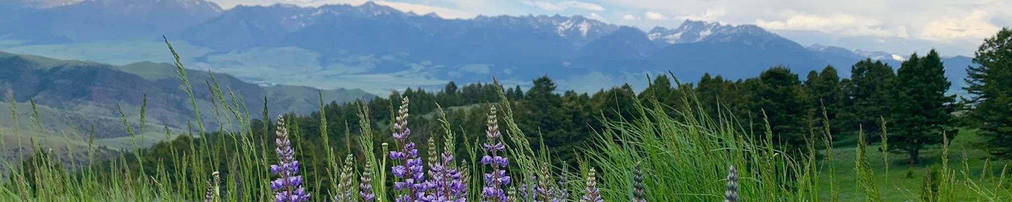 Cover for Michael John Kroskey's Obituary