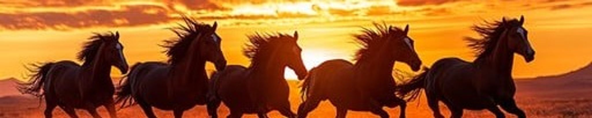 Cover for CreeAsha Avery Campbell's Obituary