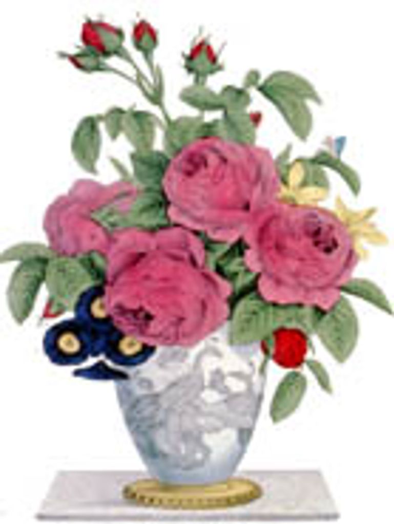 Florence Orman Scott