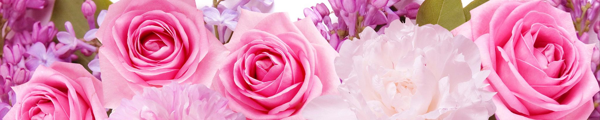 Cover photo for Olivia Guerra Vazquez's Obituary