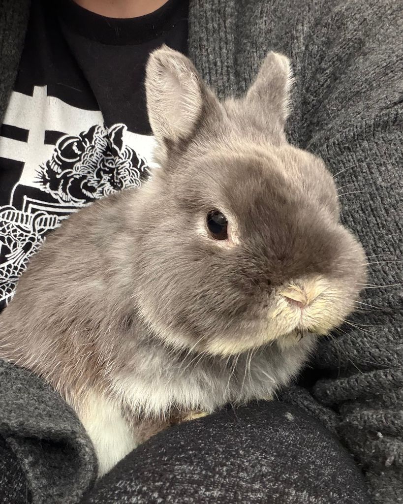 Tony Profile Photo