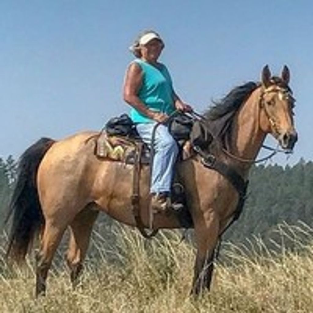 Judie Nelson Profile Photo