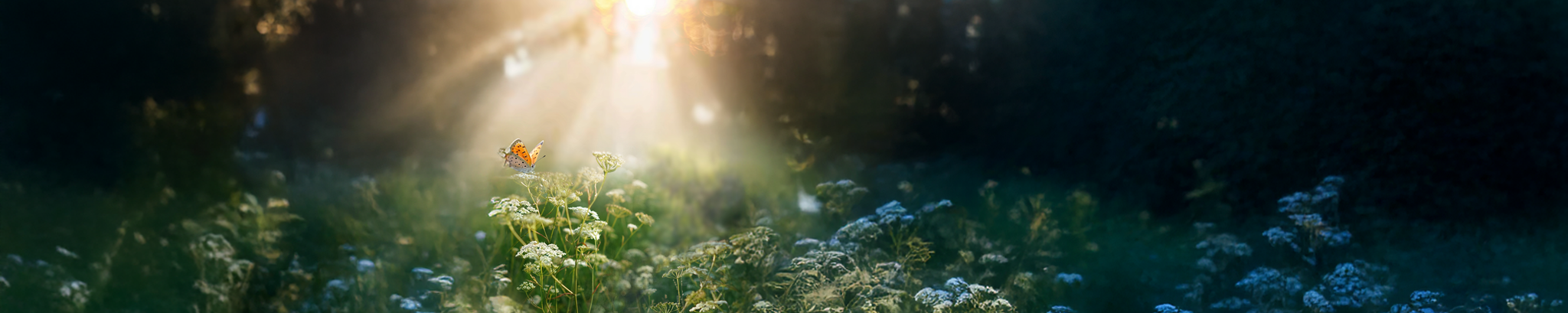 Cover for Leo Desmond Francis Bennett's Obituary