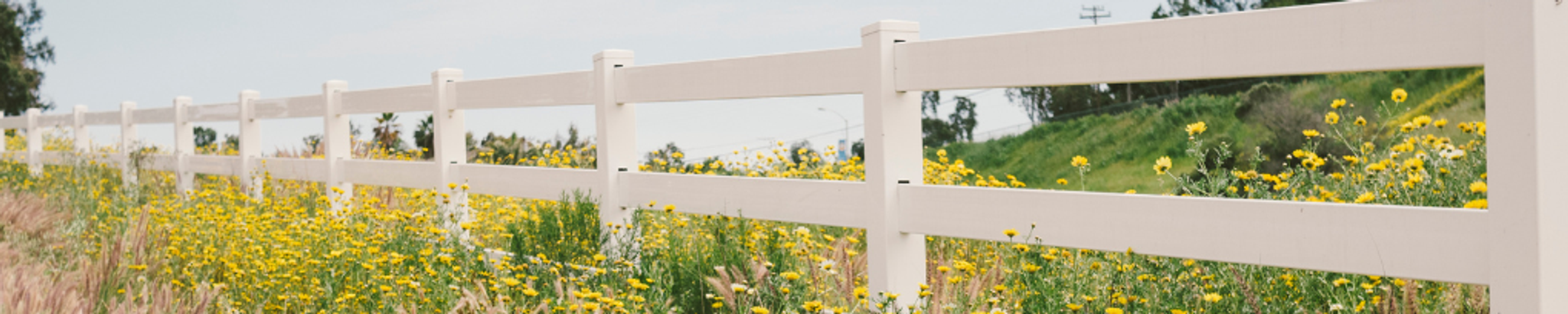 Cover photo for Karen Jean (Metter) Clark's Obituary