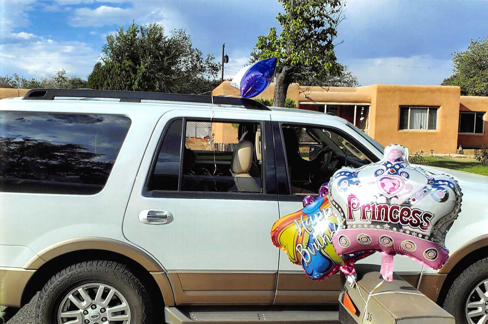 Barbara Kaufman photo 50 of 50