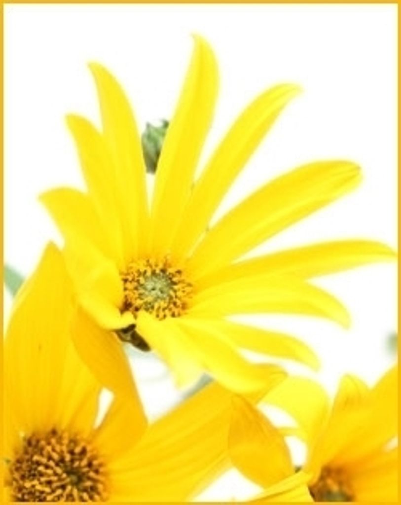 Leroy W. Murphy Profile Photo