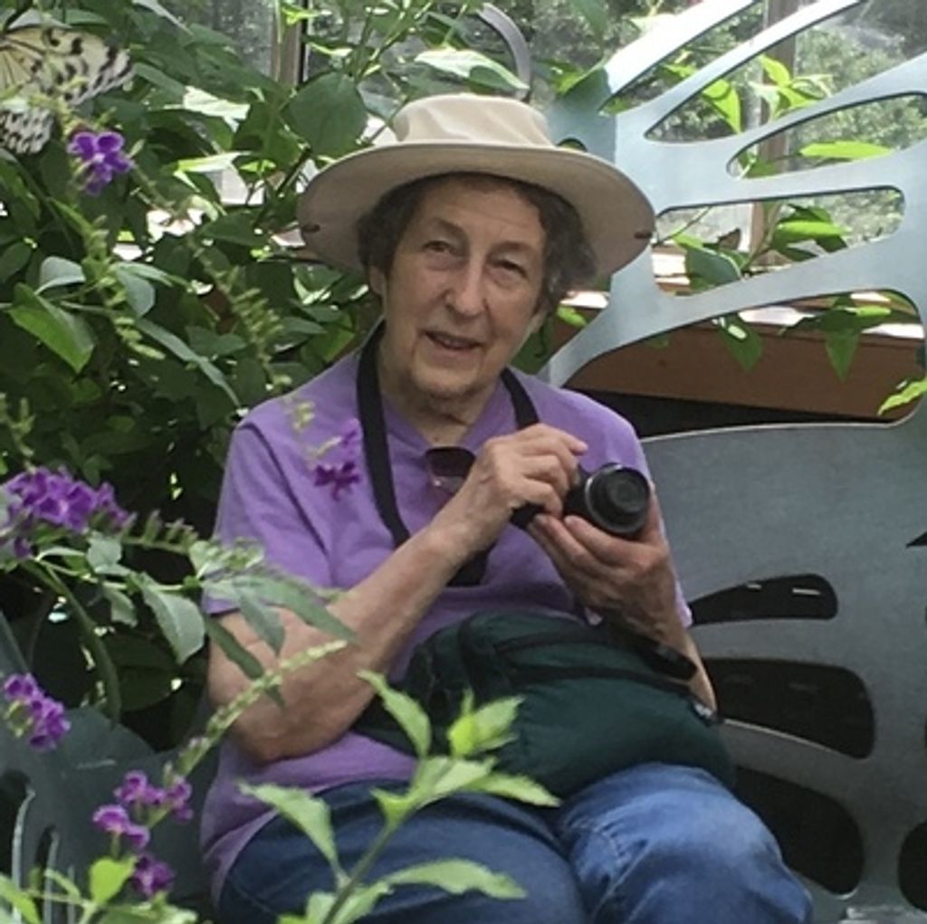 Jane Tremearne Zuke Profile Photo