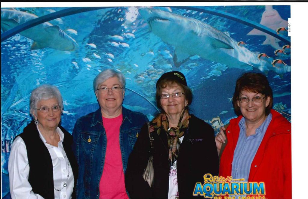 Mary L. Phillips Profile Photo