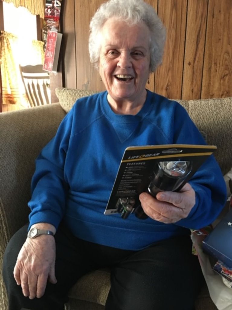 Theresa Marie (Gannon)  Medeiros