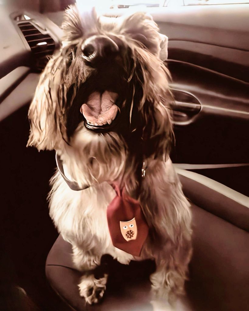 Polo Peake Profile Photo