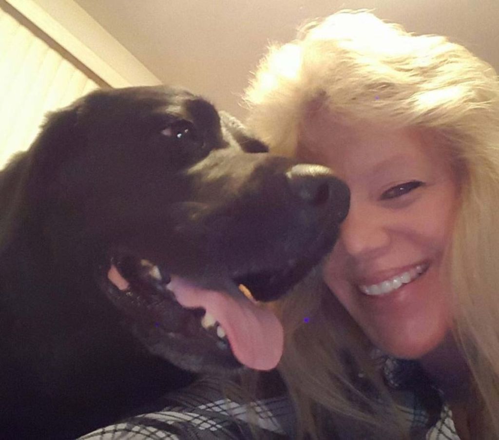 Julie Lynn (Kimball)  Skarritt Profile Photo
