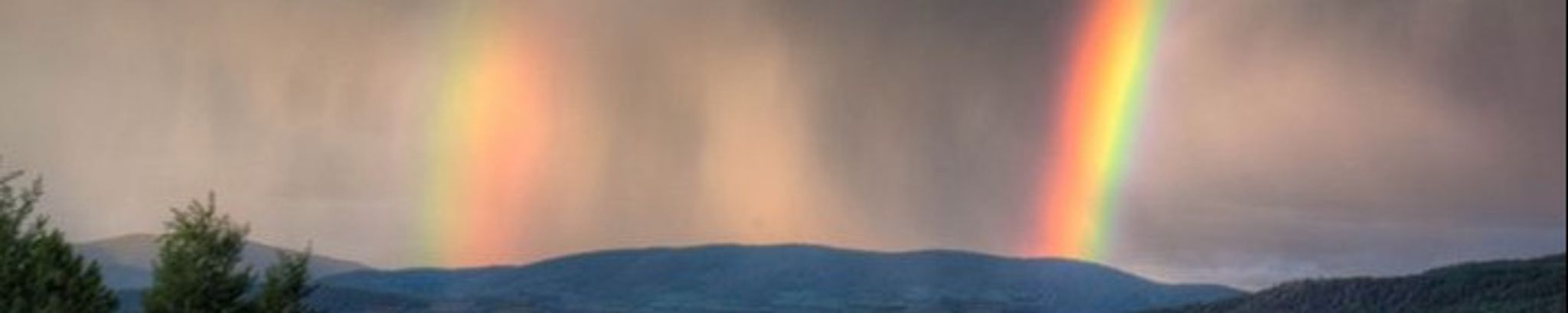 Cover for Nancy Jean Quist's Obituary