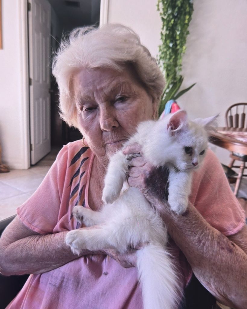 Carol Ann Sobczak Profile Photo