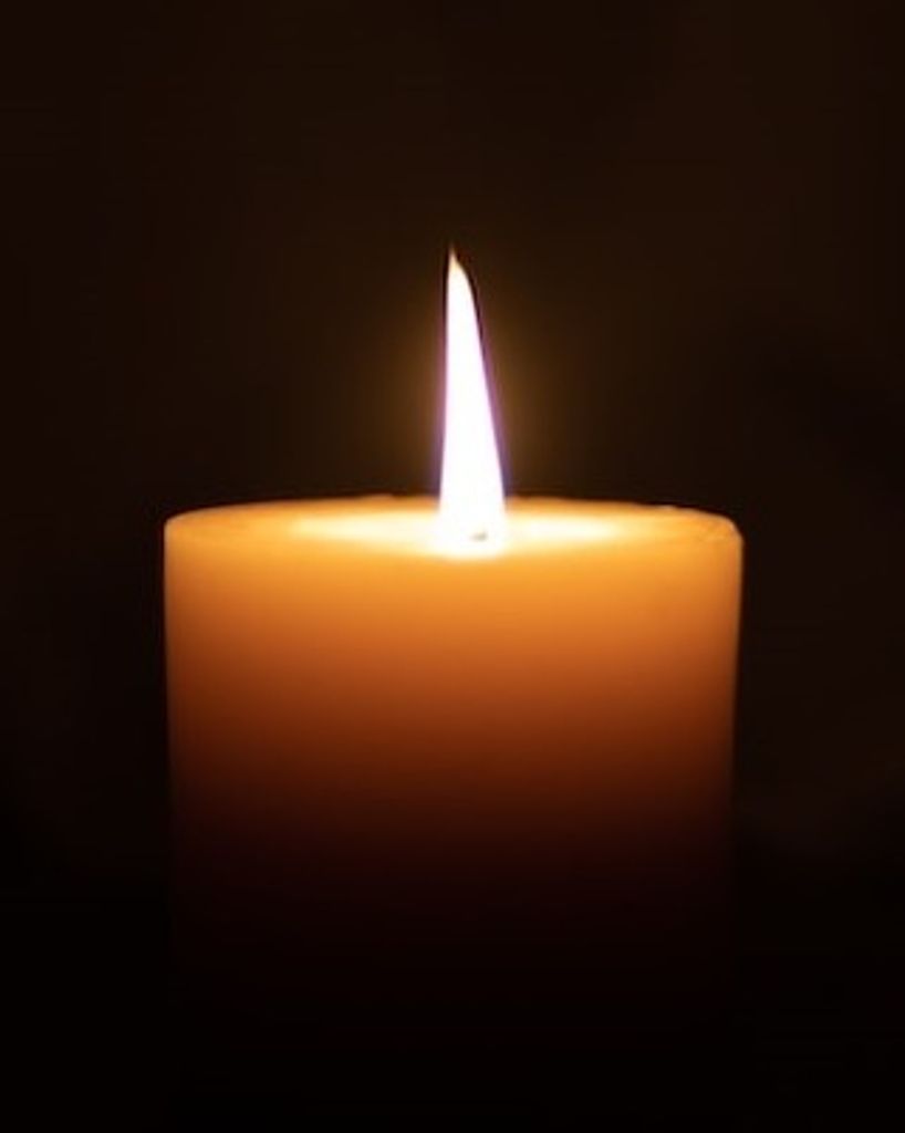 Violet Lucille Hodges