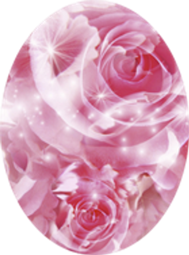Christine  Anne (Steili)  Phillips Profile Photo