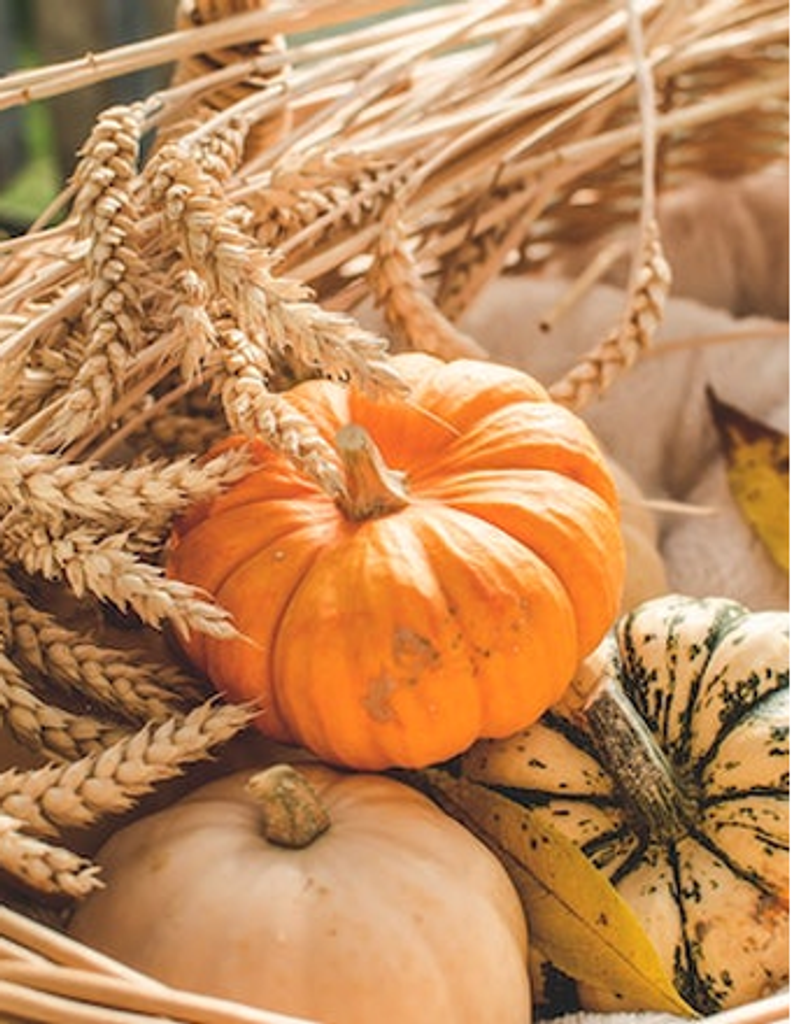 Ronald A. Funk Profile Photo