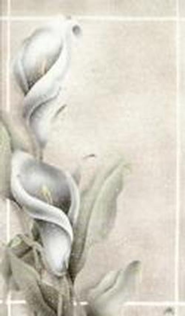 Velma Weil Profile Photo