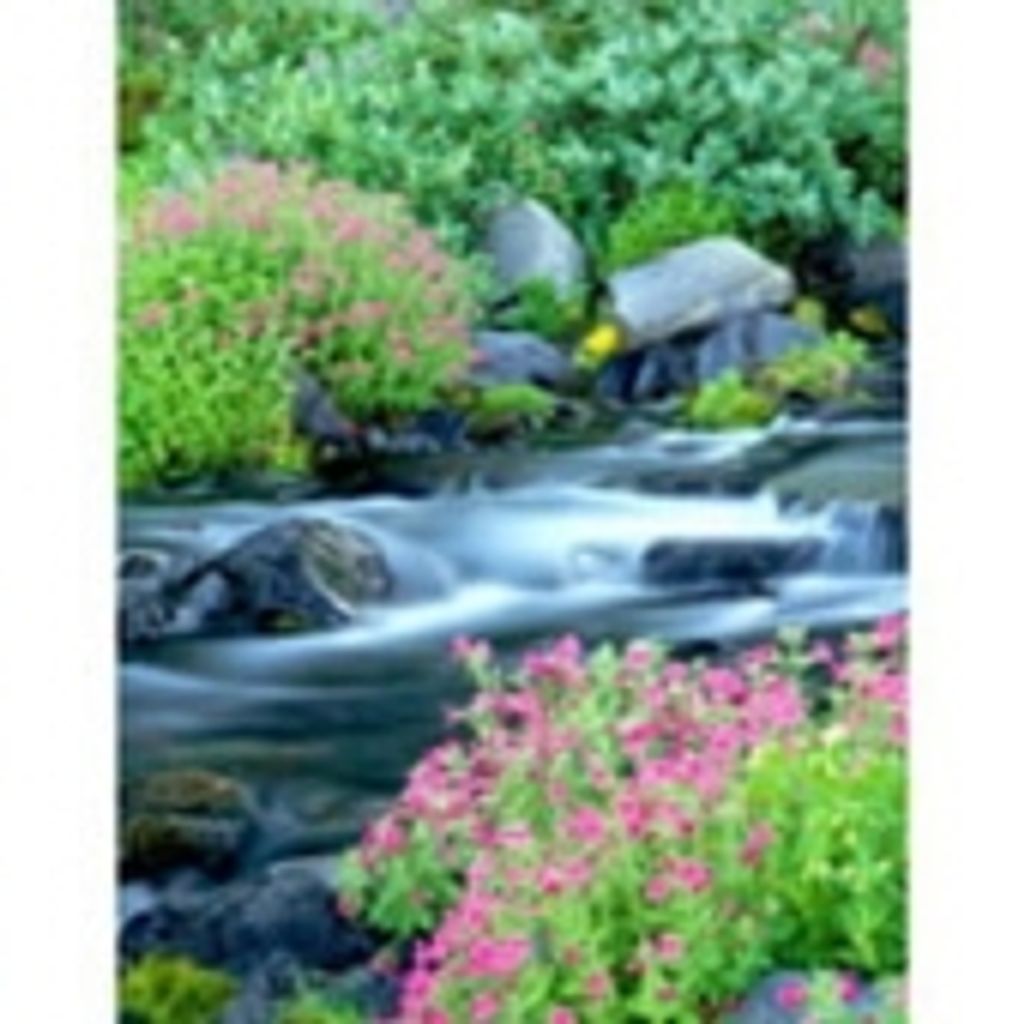 Joann C. Schoeny Profile Photo