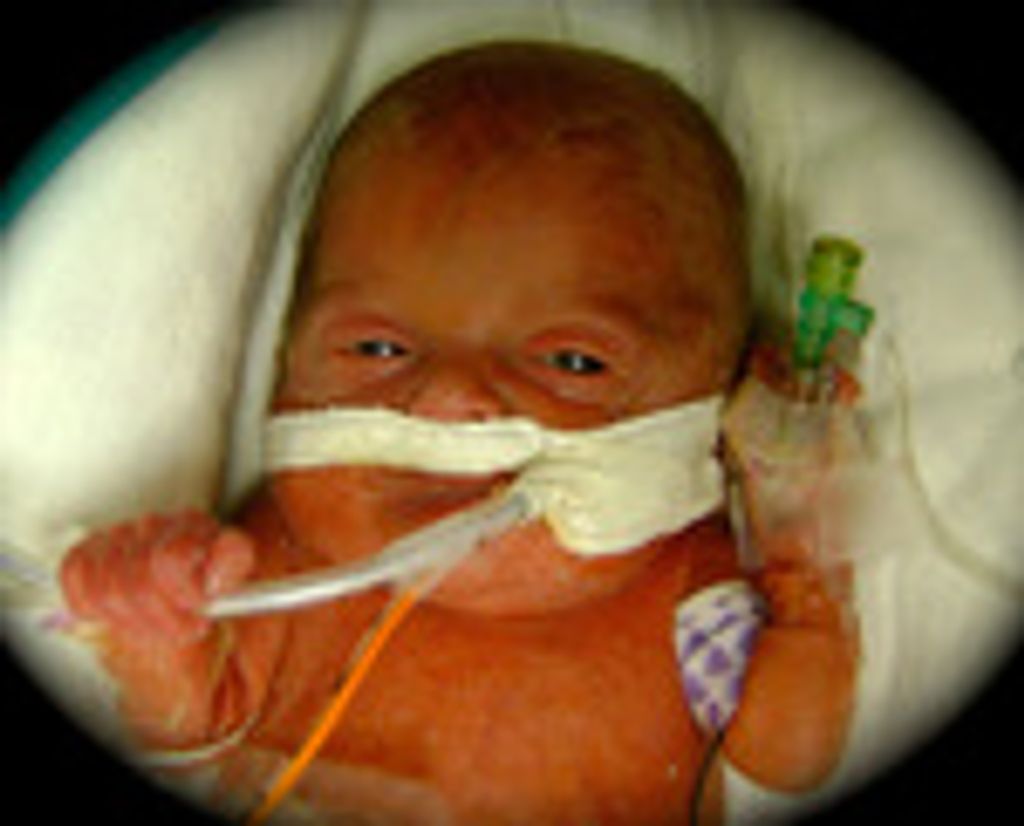 Cruz Mitchell Jorgensen