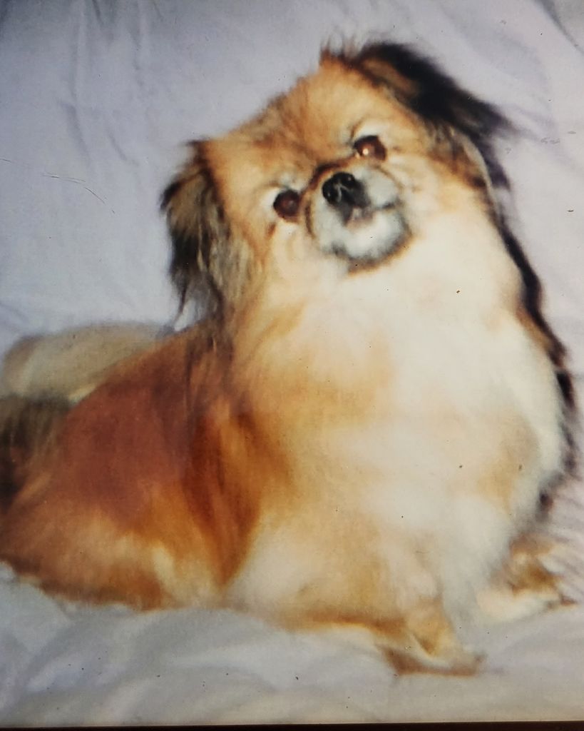 Babs "Babber" Wells