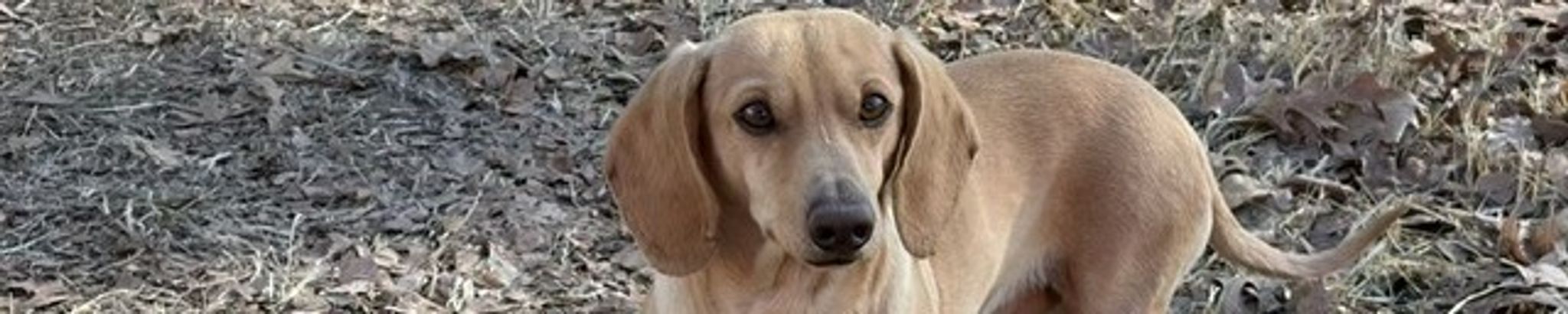 Cover for Billy Gene Burns's Obituary