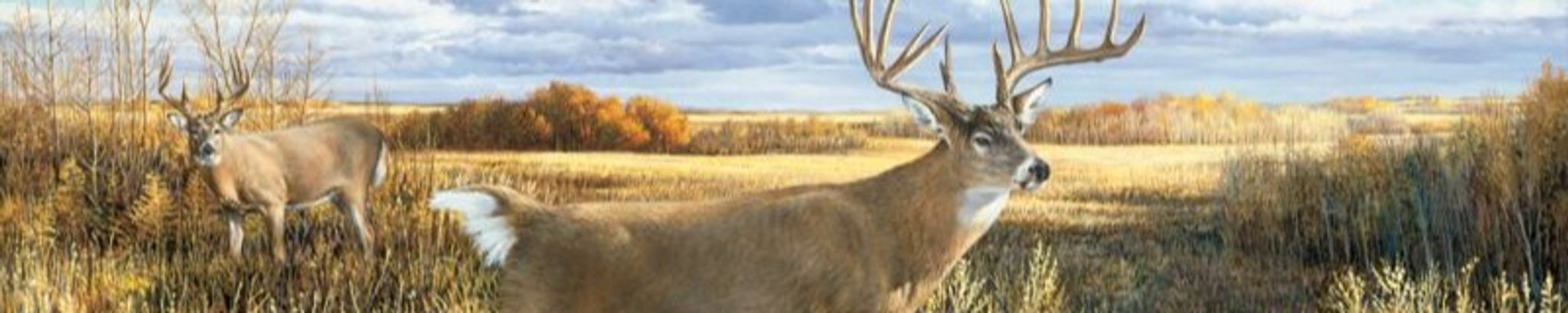 Cover photo for Vernon E. "Joe" Case's Obituary