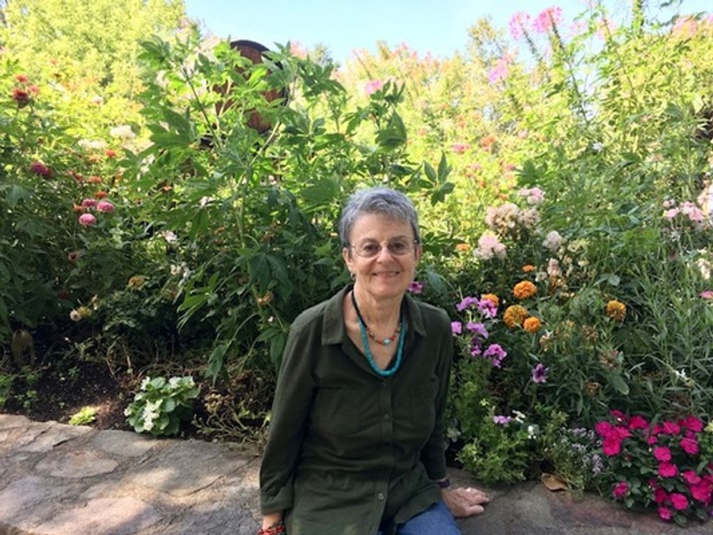 Jean Elaine Porcella Molzner Profile Photo