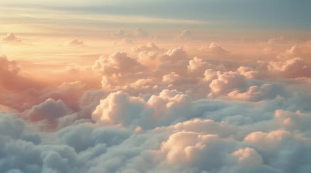 Baby Rasmussen Profile Photo