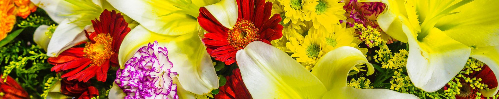Cover photo for Peggy Joyce Jones's Obituary