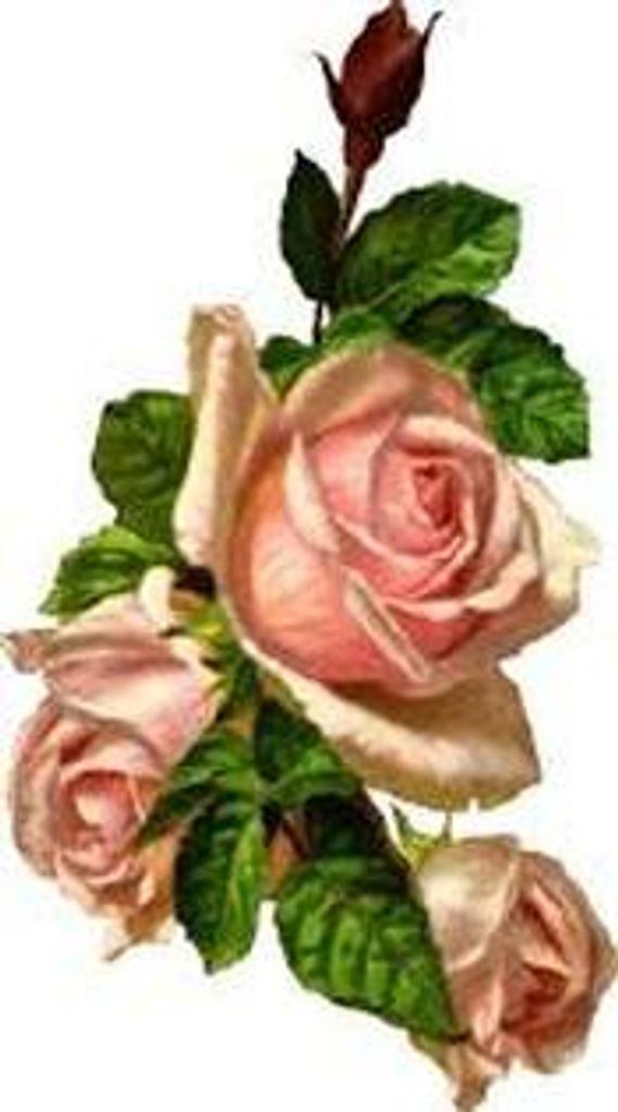 Ophelia Plemons Brooks