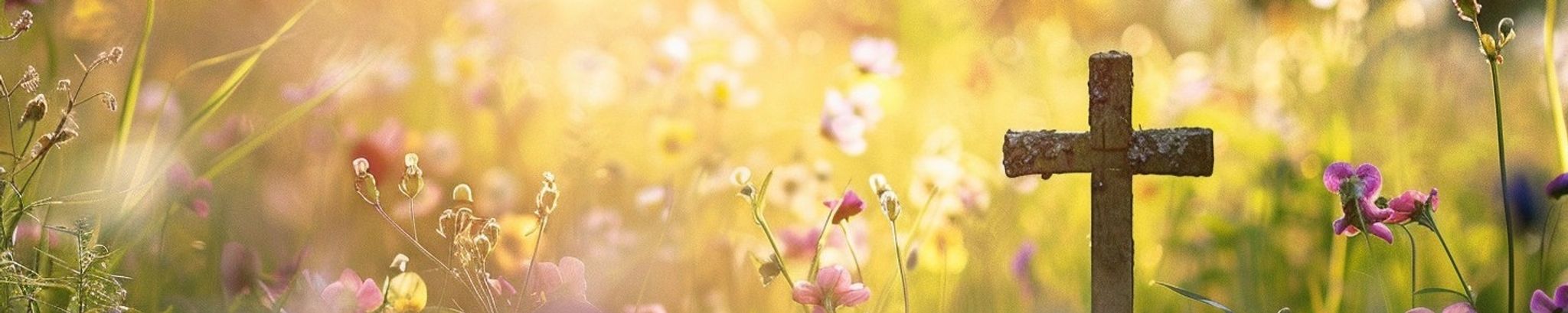 Cover for Linda Sue Brinkman's Obituary