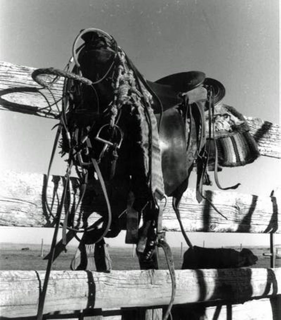 Walter P. Haley, Jr.