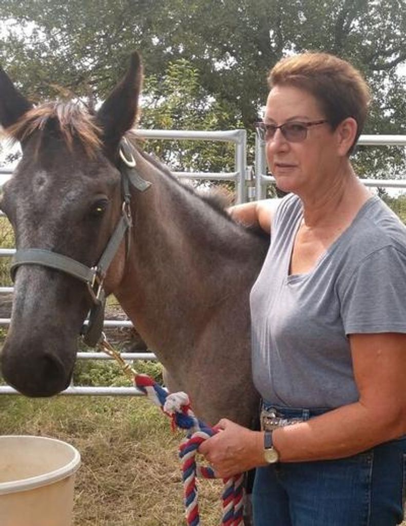 Kathleen Ann Scovill Profile Photo