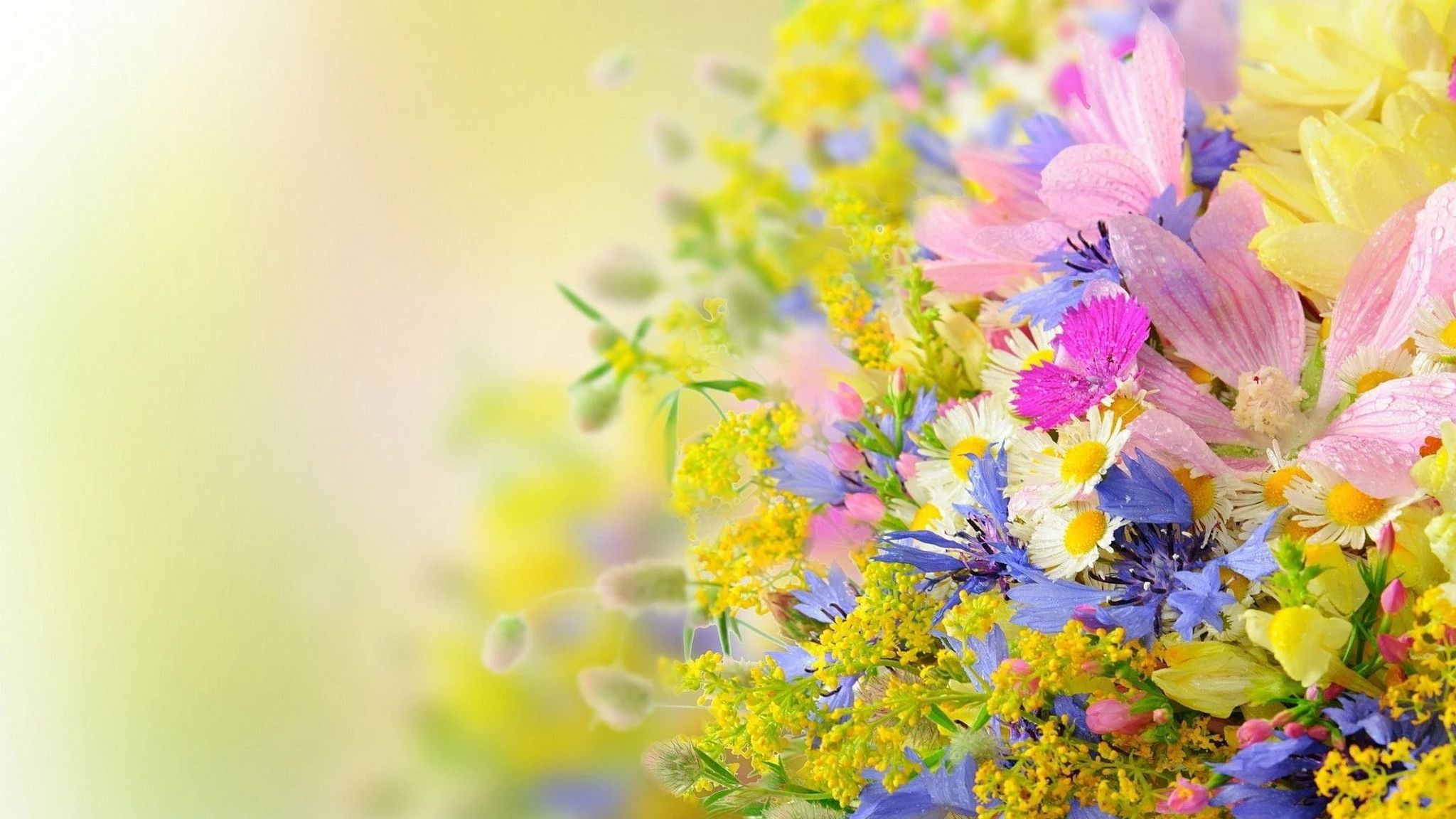 Cover photo for Margaret J. Hines's Obituary