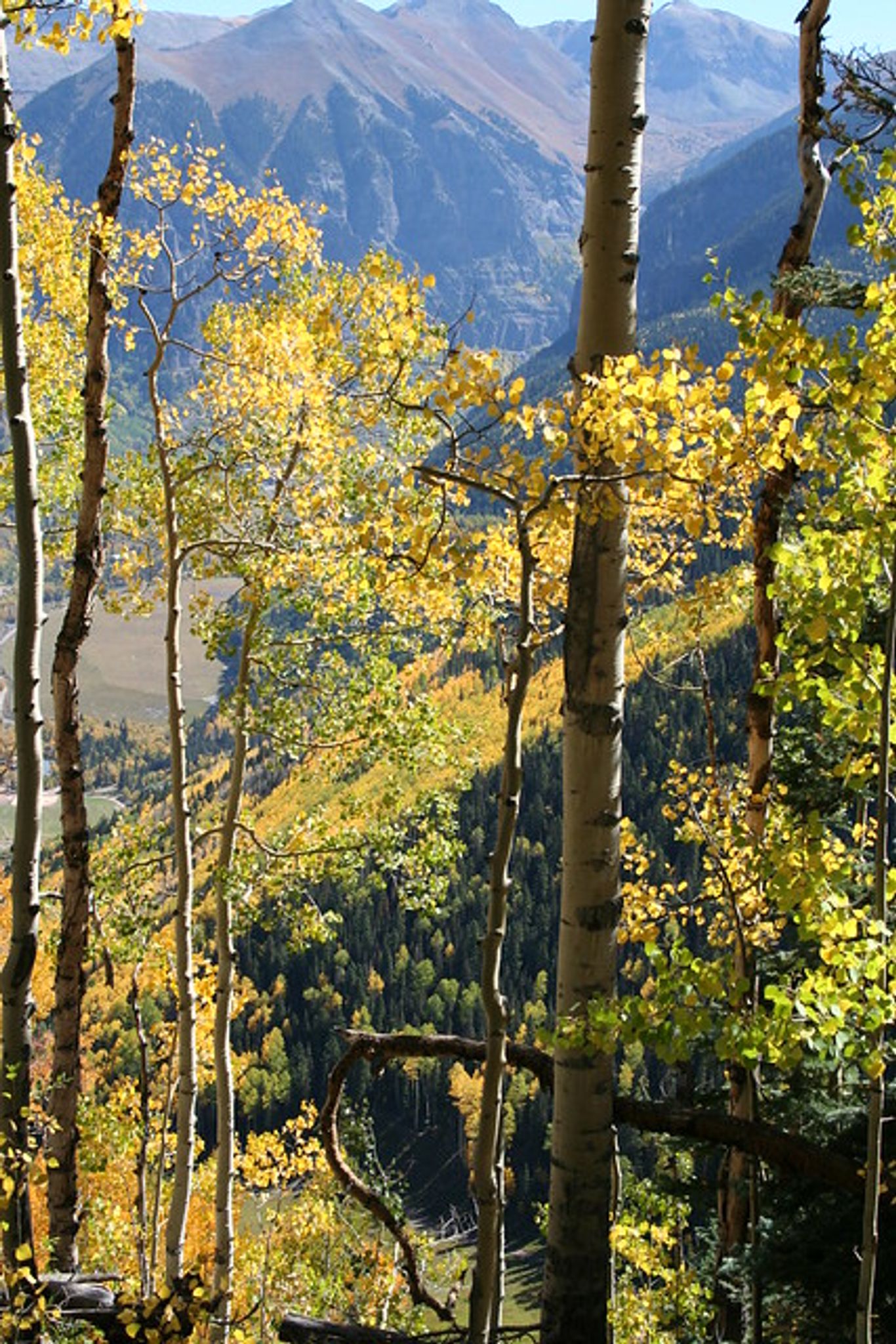 Cover photo for DeeAnn Arnold Talbot's Obituary