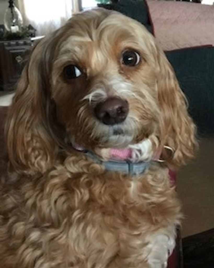 Lola Lenceski Profile Photo