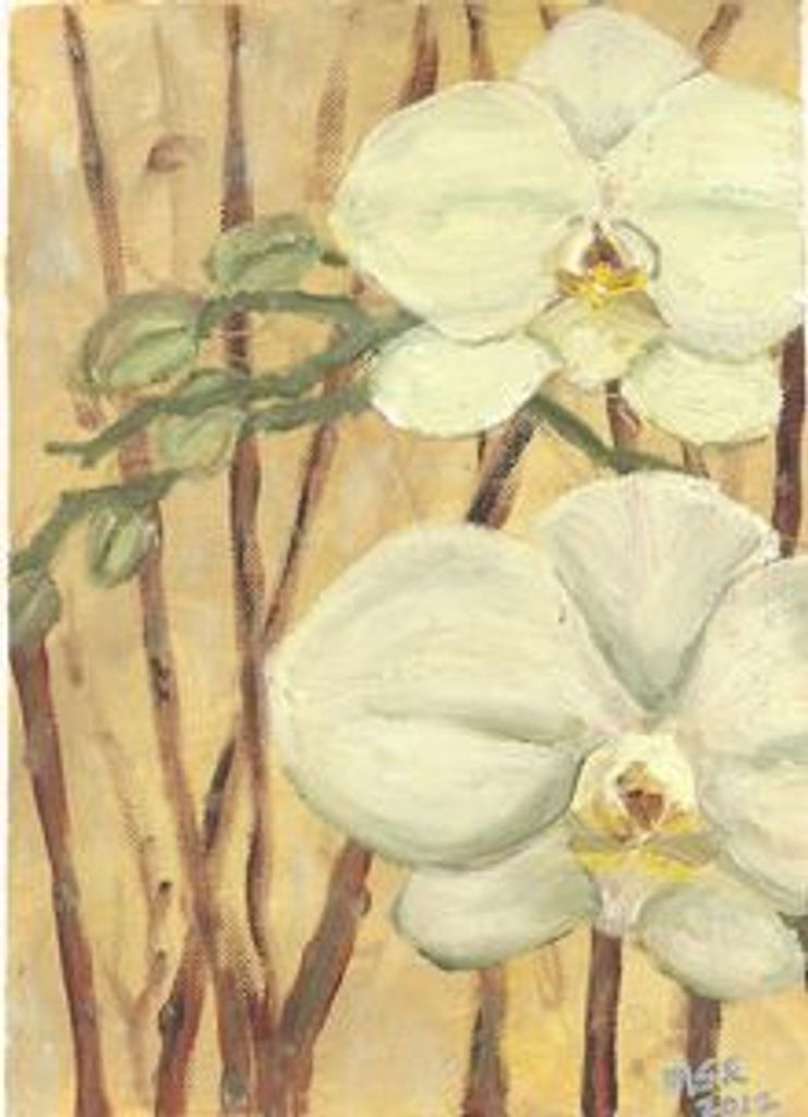 Marcia (Sorcinelli)  Ramsey Profile Photo