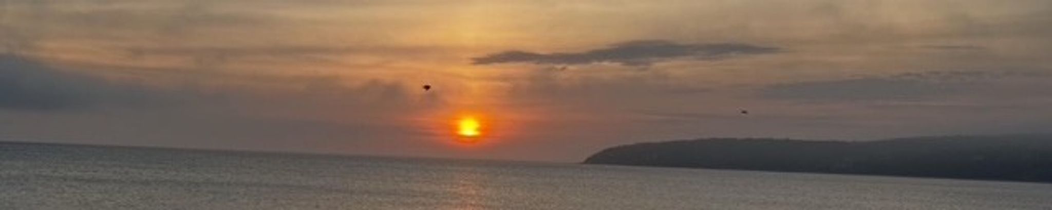 Cover photo for Michelle Ann Parker's Obituary