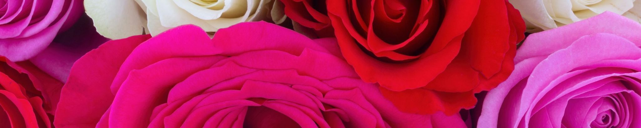 Cover photo for Bernadette Merced's Obituary