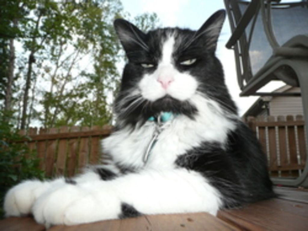 Fergus Maximus Fisher Profile Photo