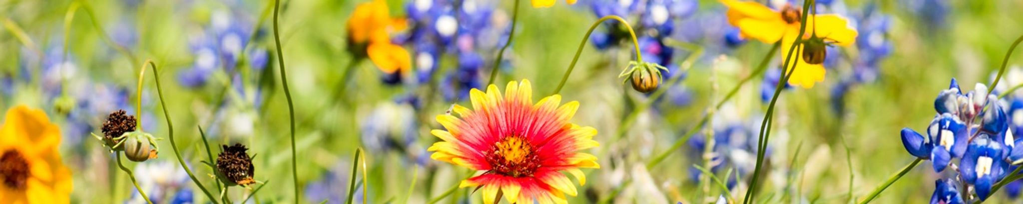 Cover photo for Katherine Jean Attig's Obituary