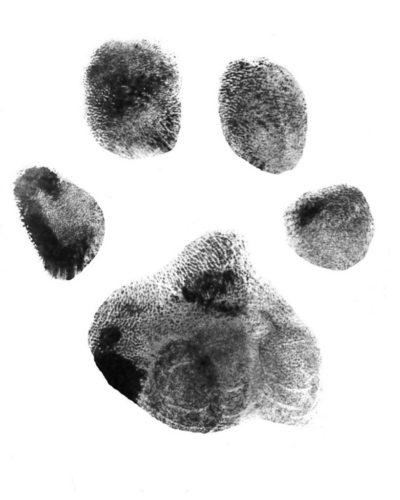 Neyland Martin Profile Photo