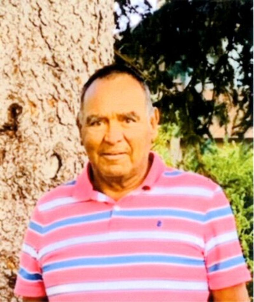 Steve Alfaro Vega Profile Photo