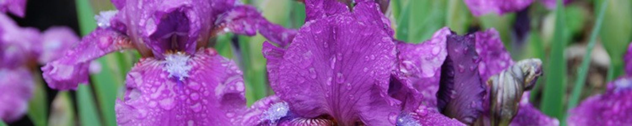 Cover photo for Beulah Milbern's Obituary