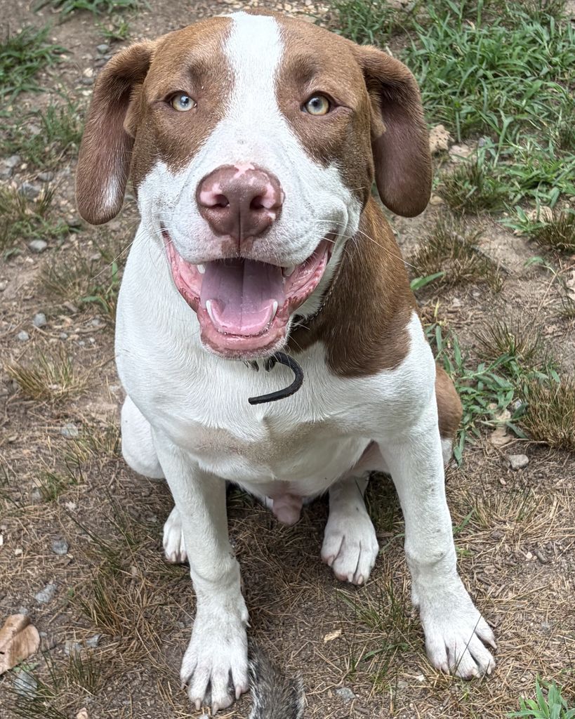 Ruger Sellers Profile Photo